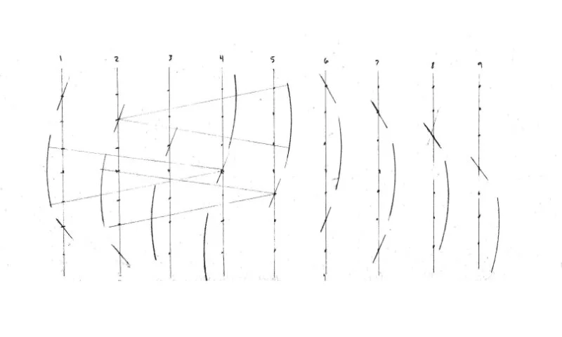 Anguilliform motion study