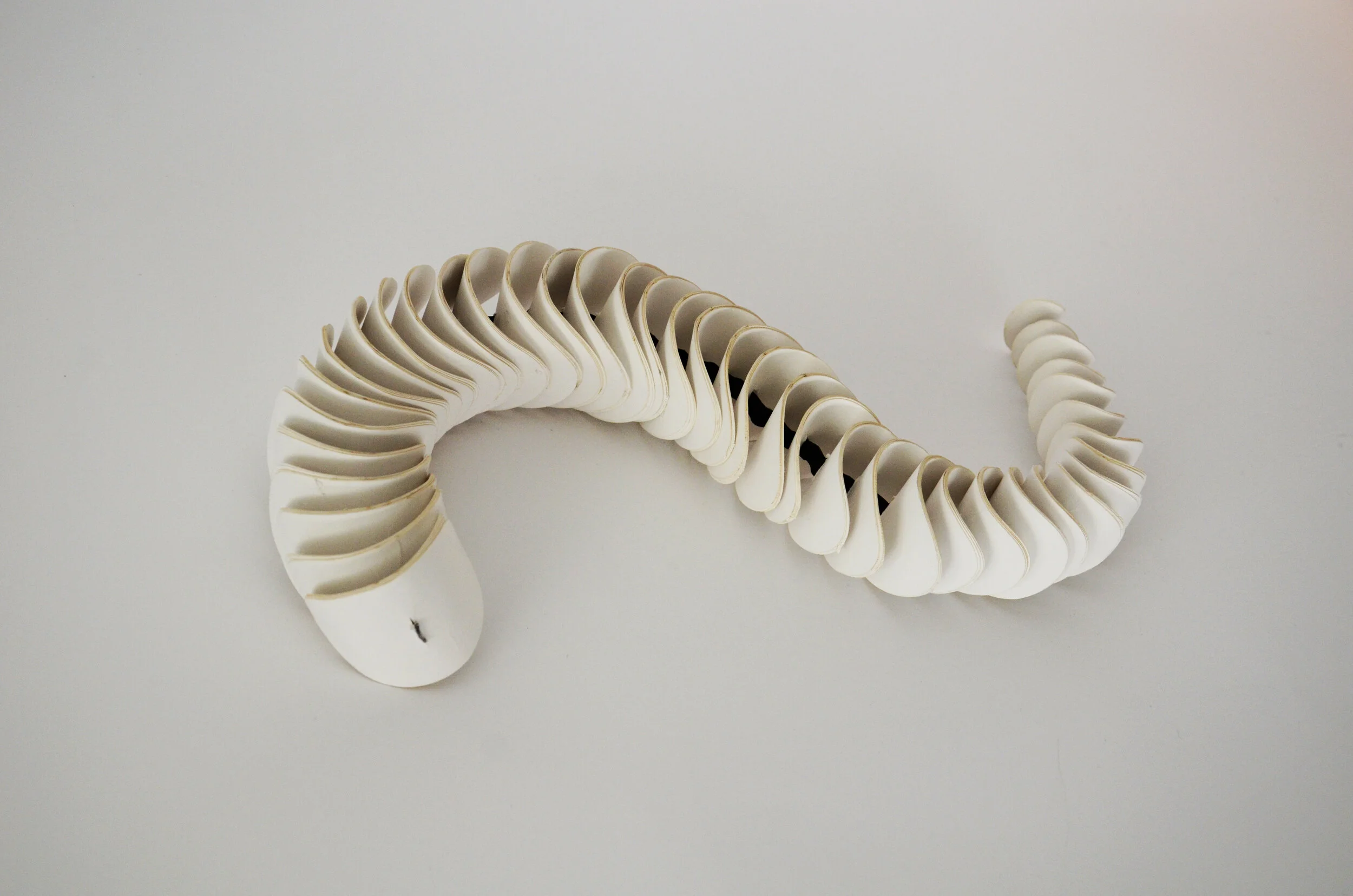 Muscular analog model