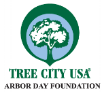 tree_city.png