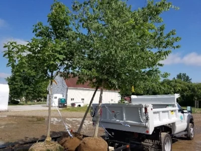 tree_planting_1.jpg