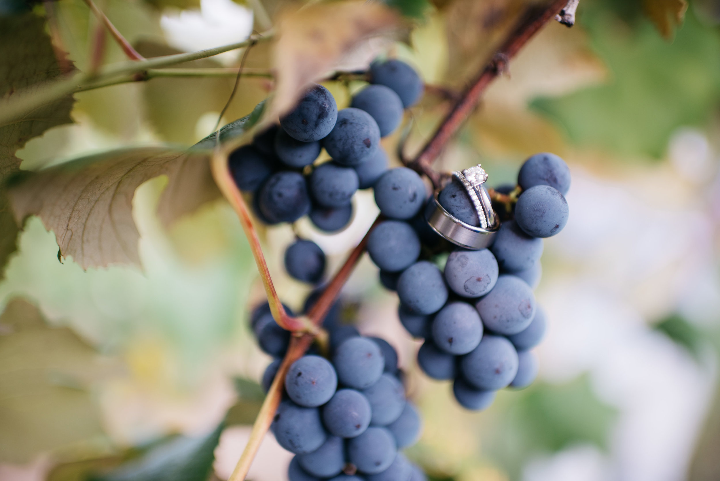 Hidden Vineyard Michigan Wedding The Wedding Mag Erika Aileen Photography