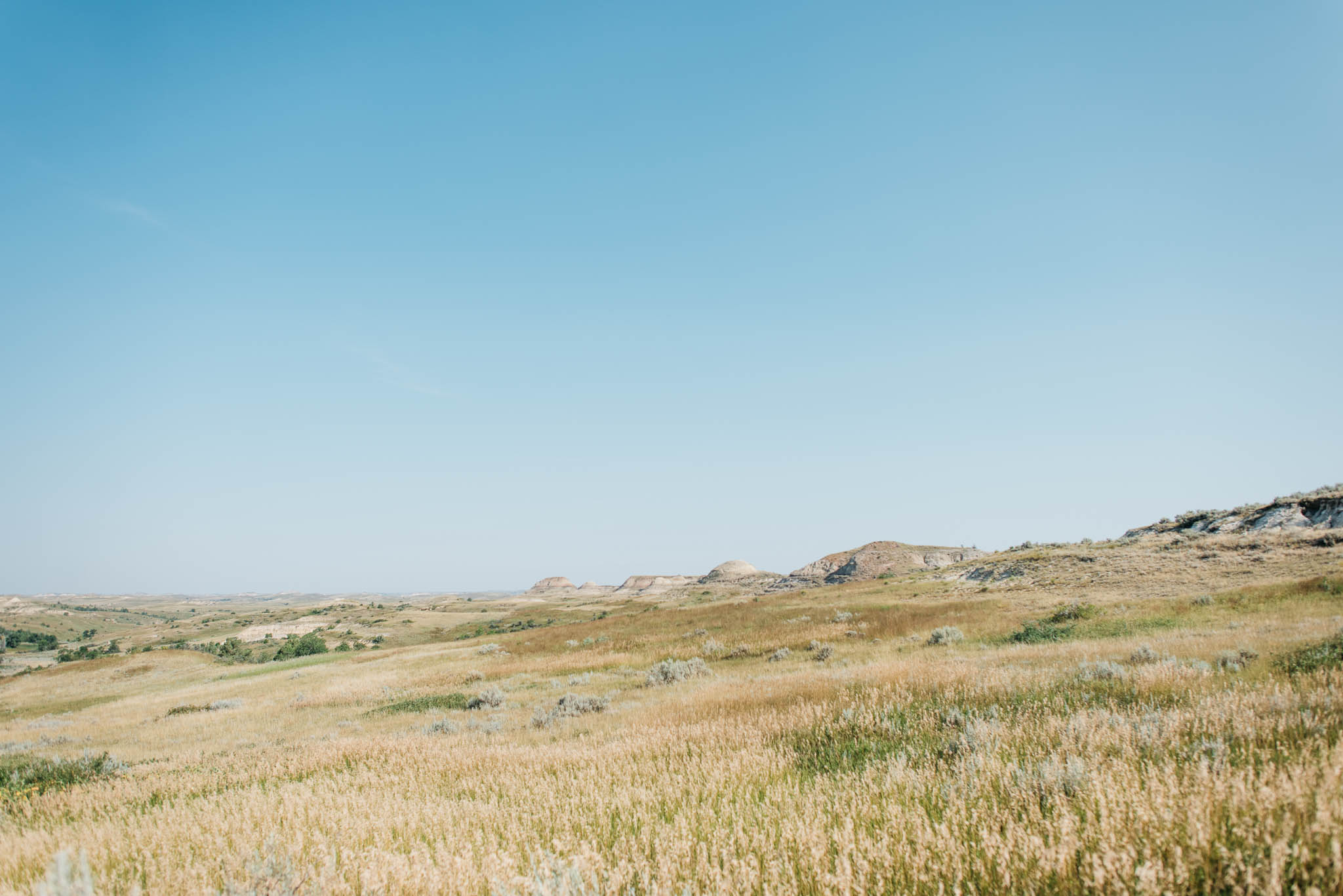 Teddy Roosevelt National Park Erika Aileen Destination Wedding Photographer