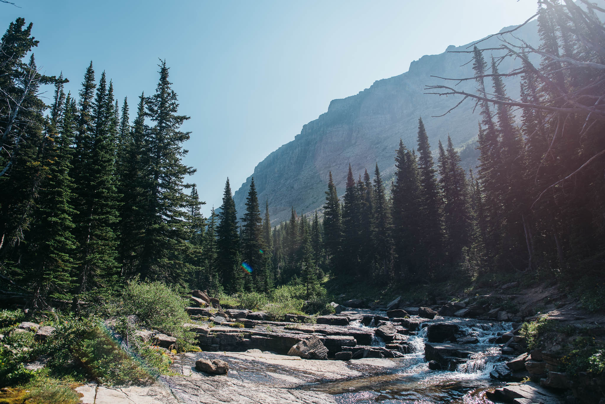 Glacier National Park Erika Aileen Destination Wedding Photographer