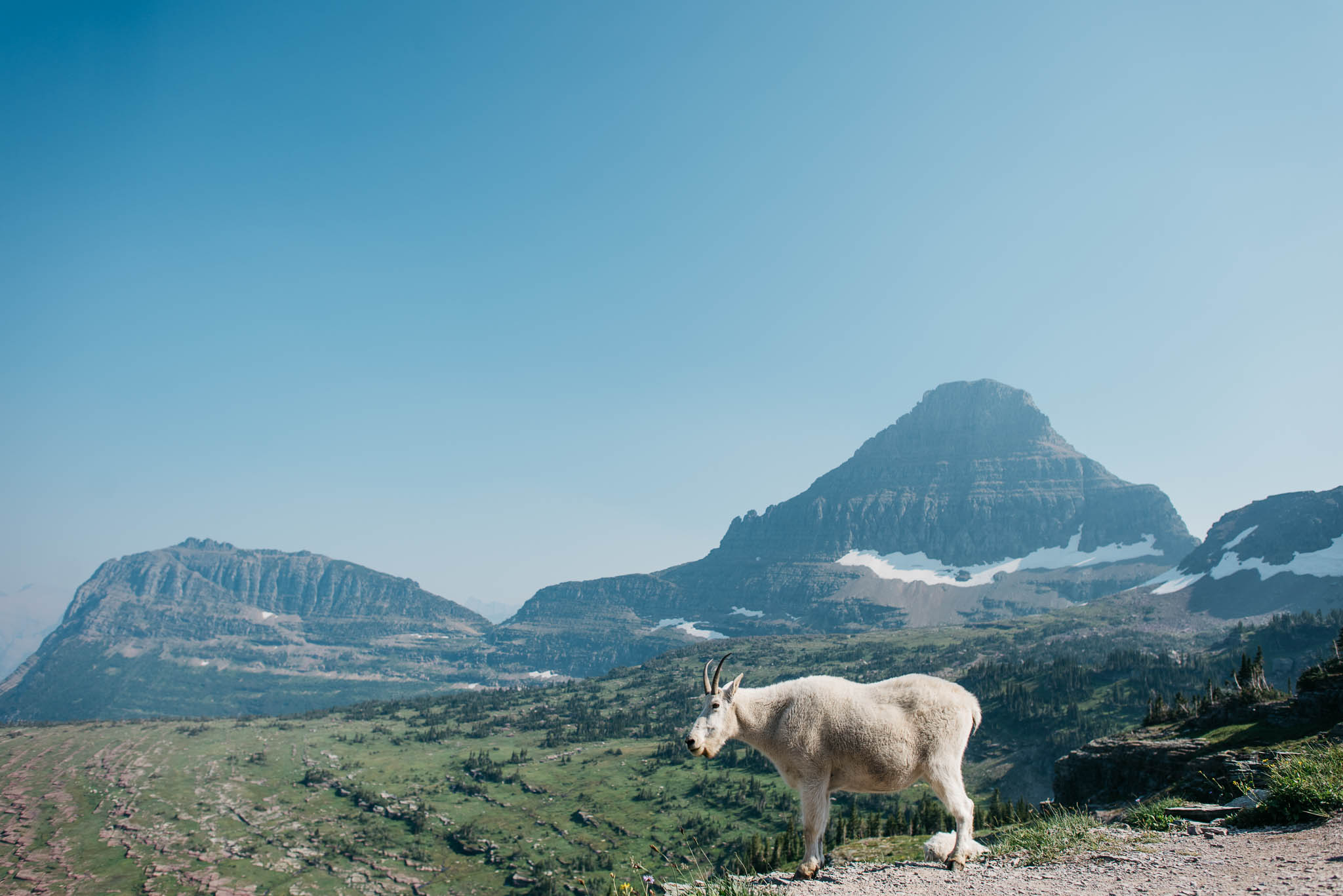 Glacier National Park Erika Aileen Destination Wedding Photographer