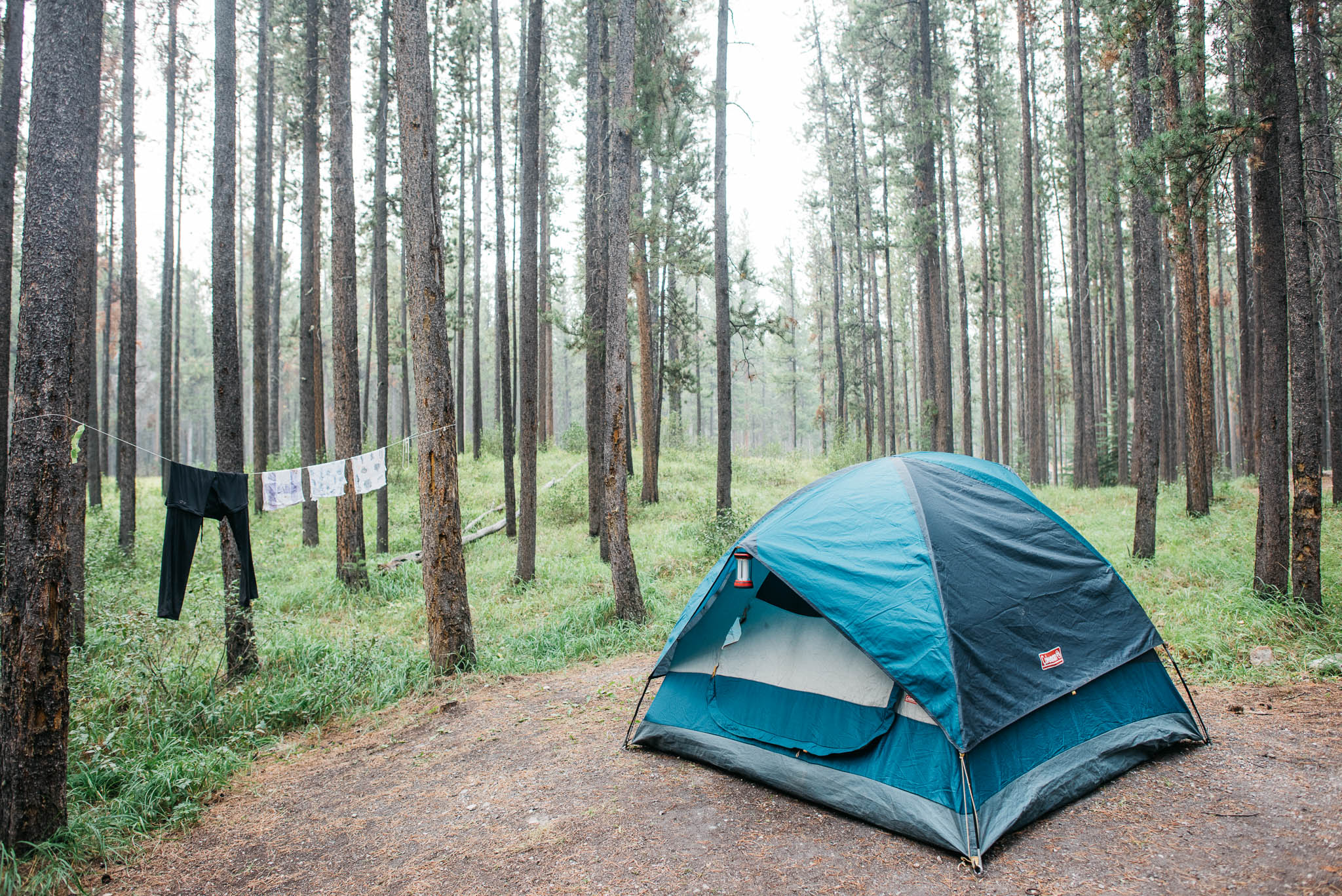 Glacier National Park Erika Aileen Destination Wedding Photographer