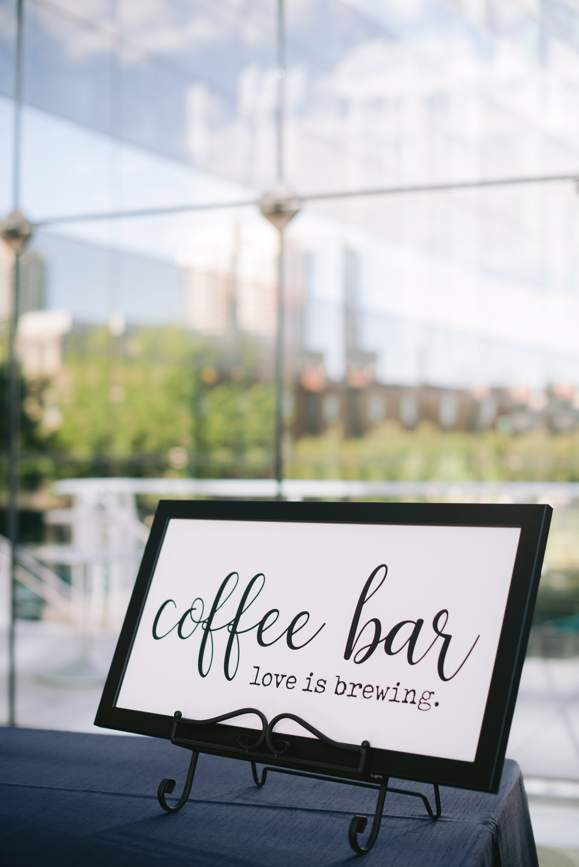 Indianapolis Central Library Wedding Erika Aileen Photography Indianapolis Wedding Photographer
