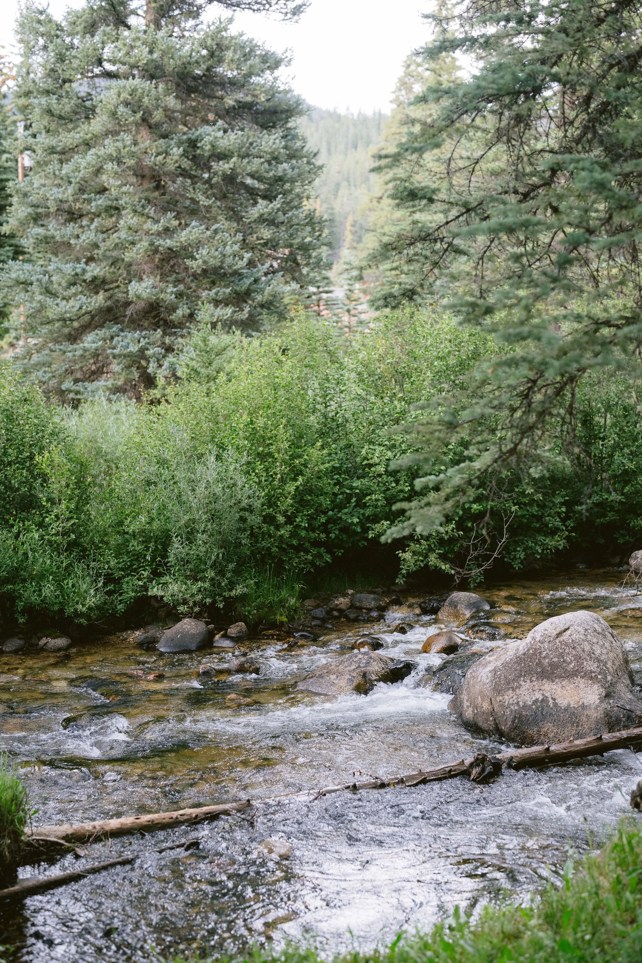 rushing creek in pitkin colorado