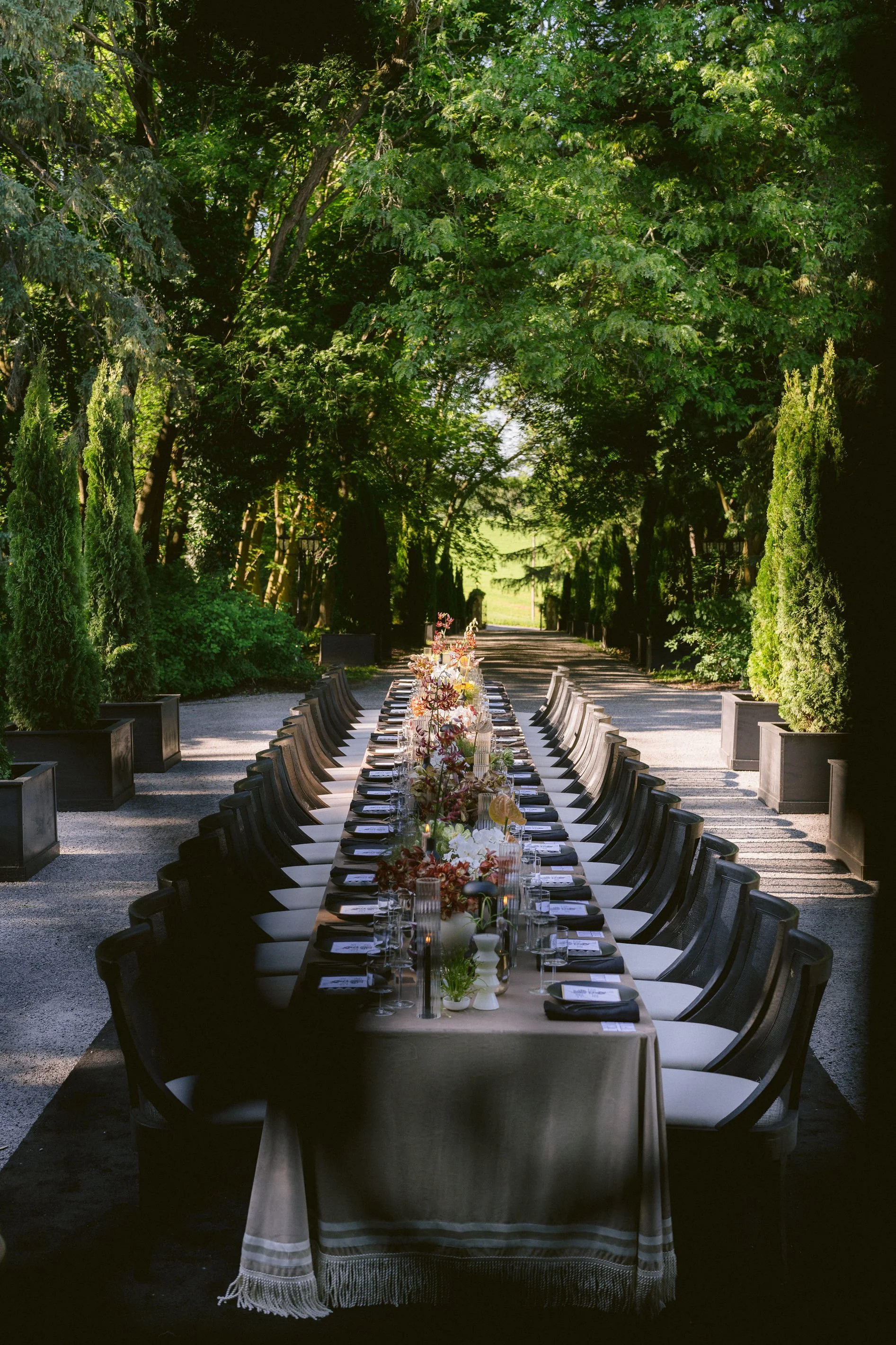 long table in the front of greencrest manor that is lined with cyprus trees
