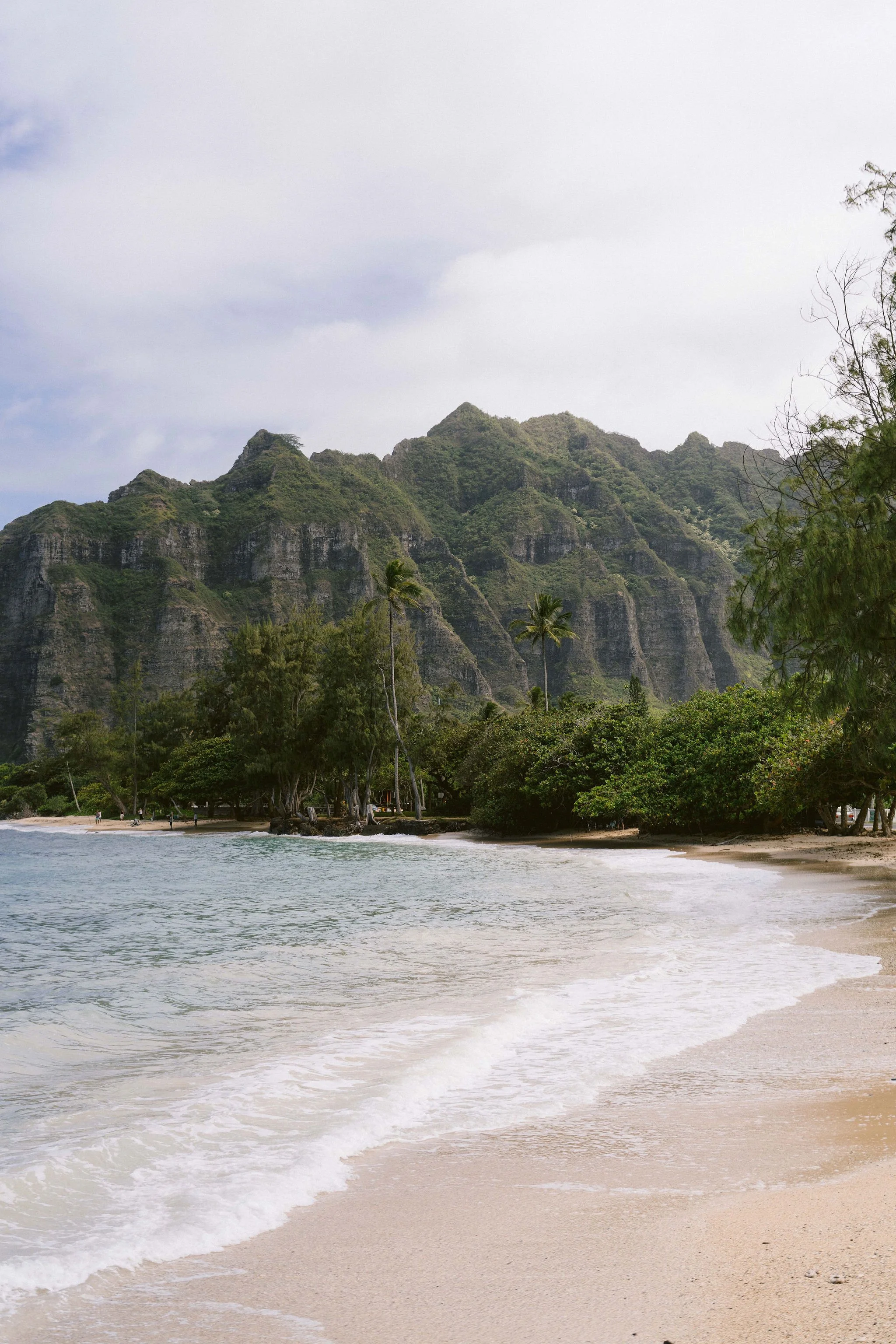 beach and mountains by kualoa ranch on oahu hawaii