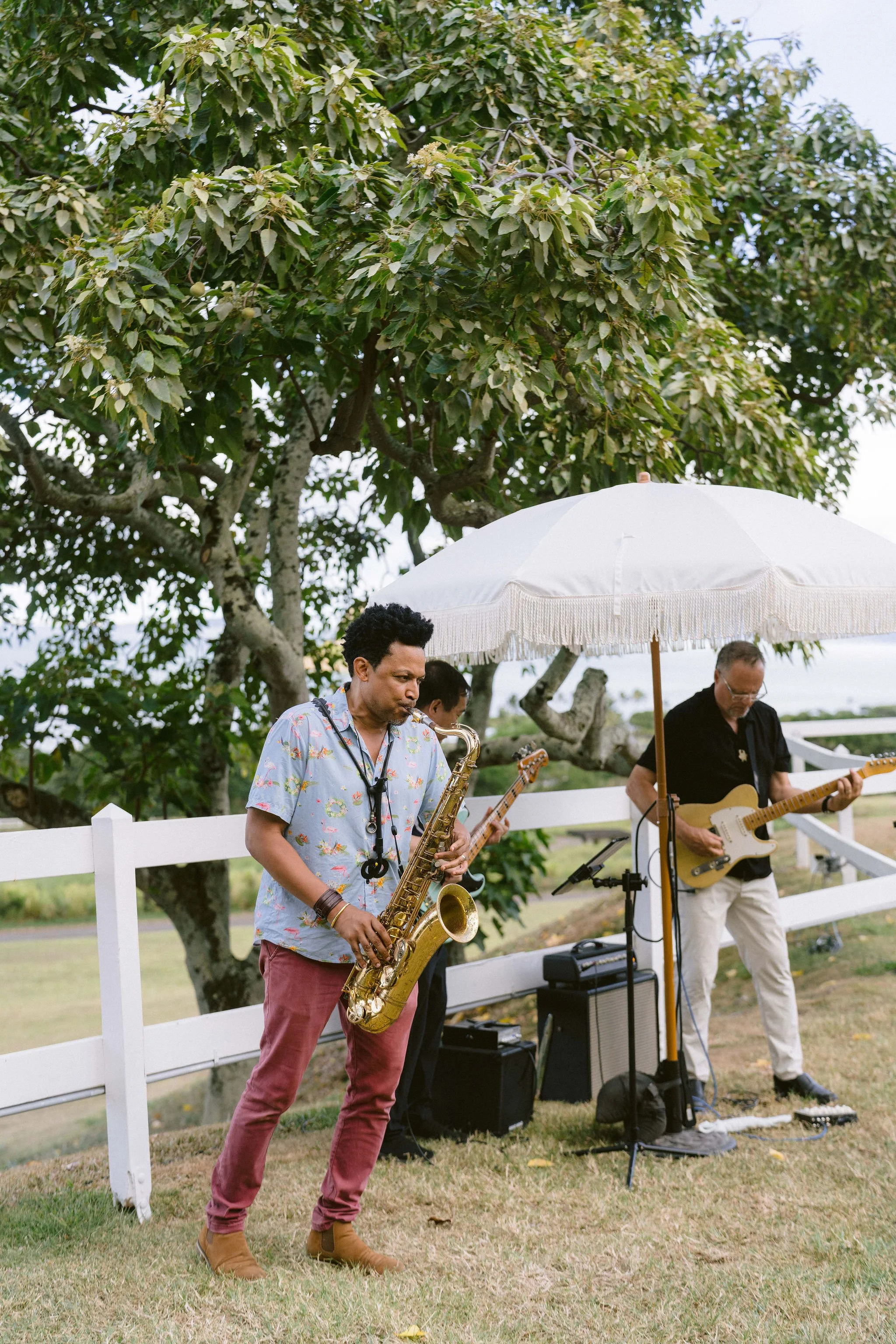 jazz trio during cocktail hour at kualo ranch