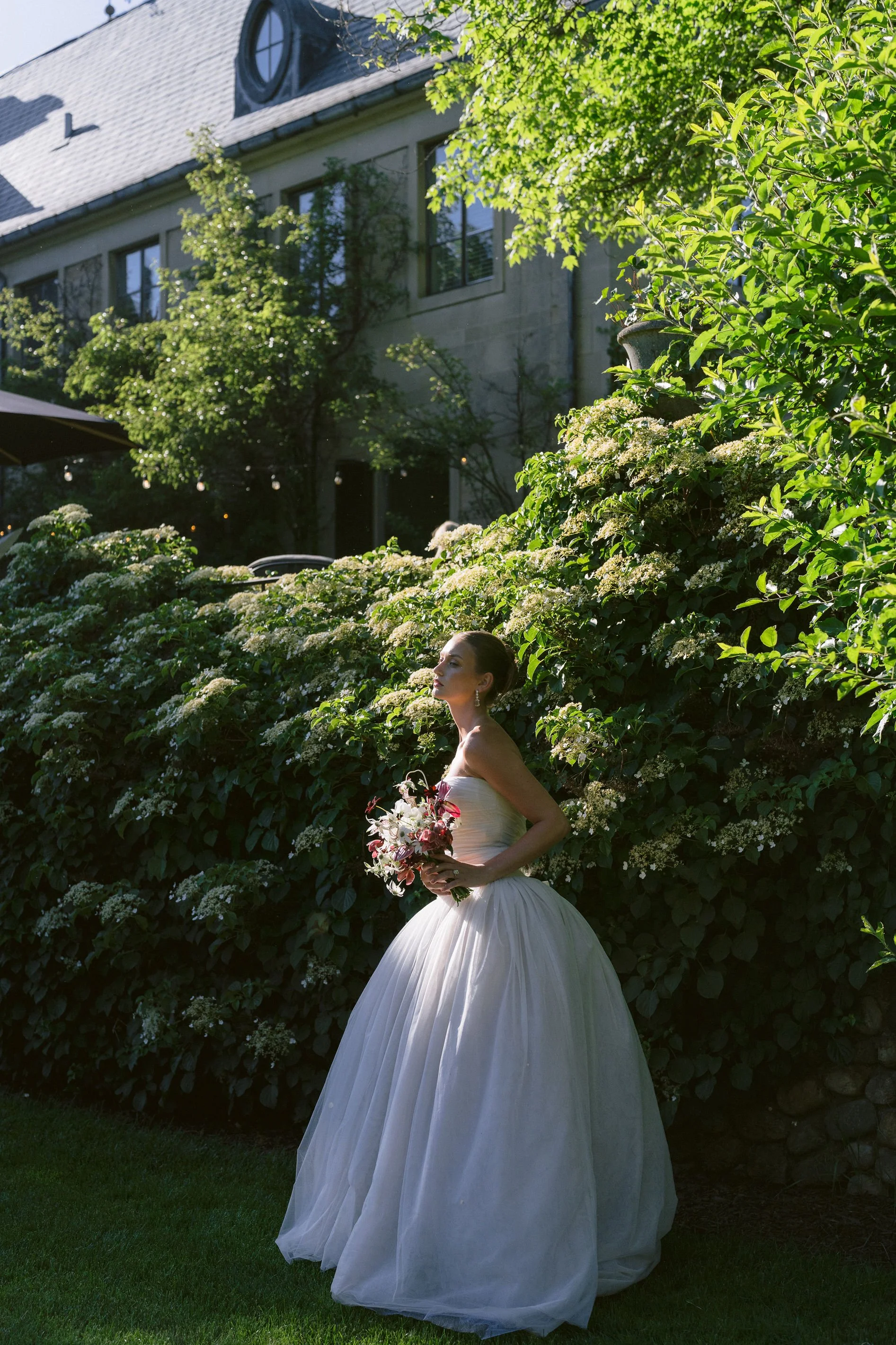 bride in front of the hydrangea hedge at greencrest manor