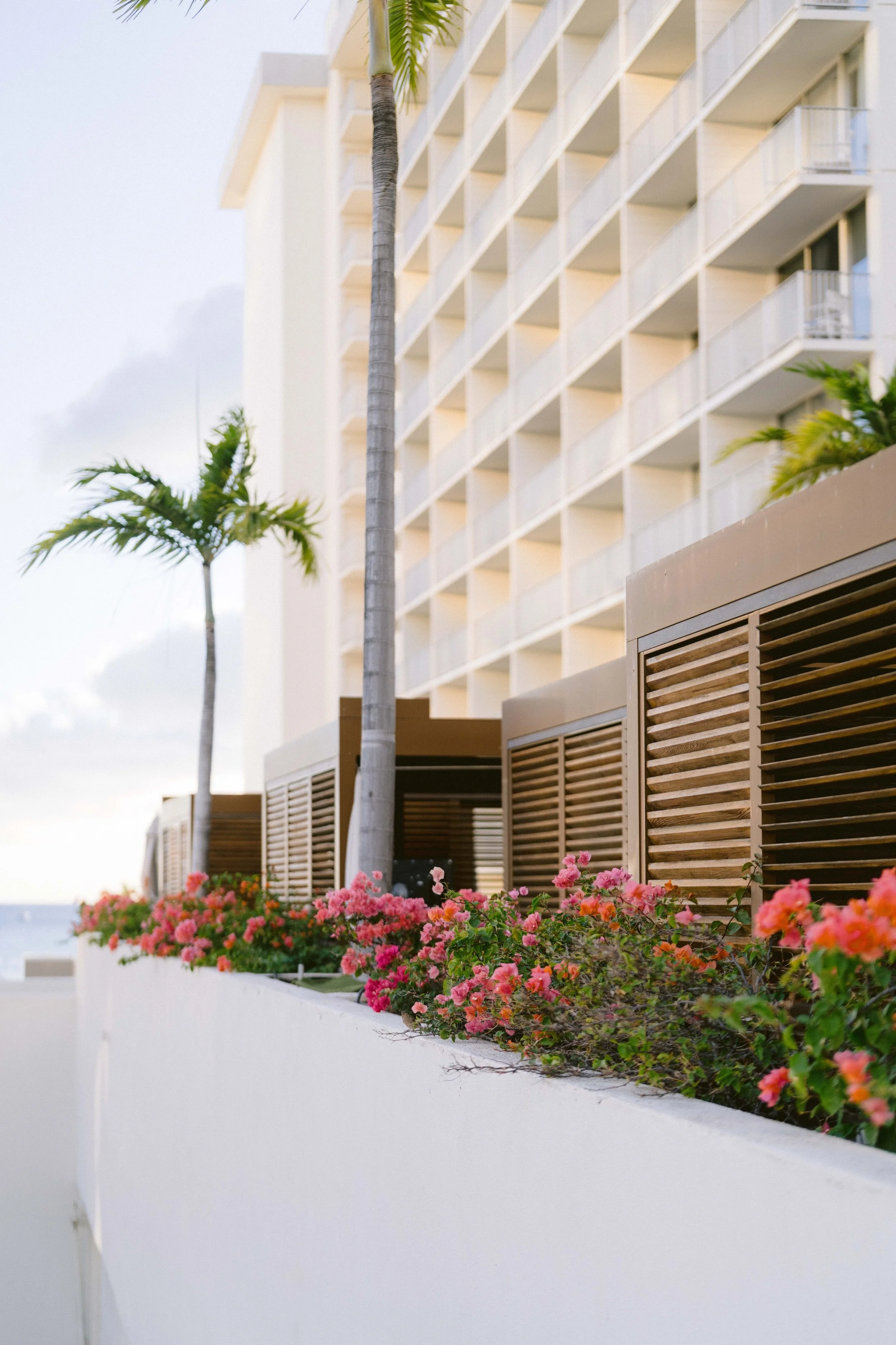 rooftop view from alohilani resort