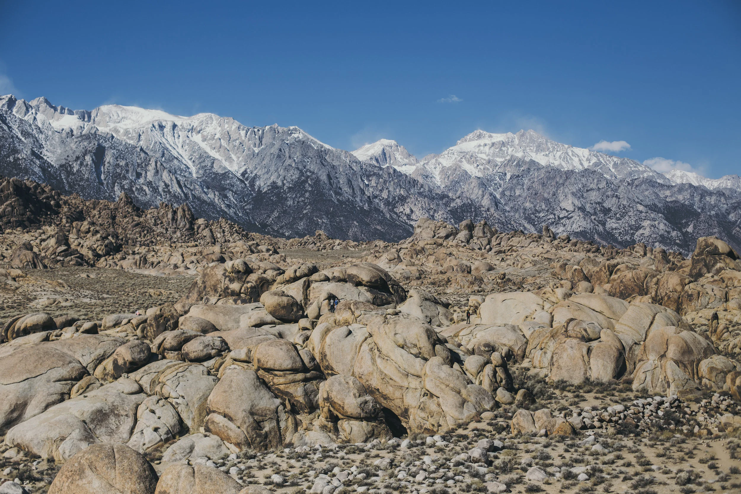 _MG_3280.jpg