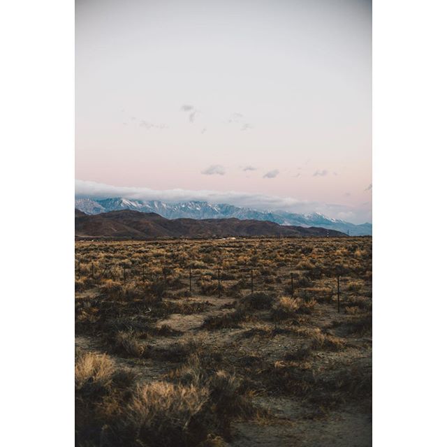 This weekend, we&rsquo;re going to the mountains to shush our minds for a minute.🌲🌿☁️ @kurtiskeber | 📷 @kellyelainephoto | .
.
.
#mountains #california #lonepine #nature #beauty @agameoftones @nature_org #californiabeauty @californialove @latravel