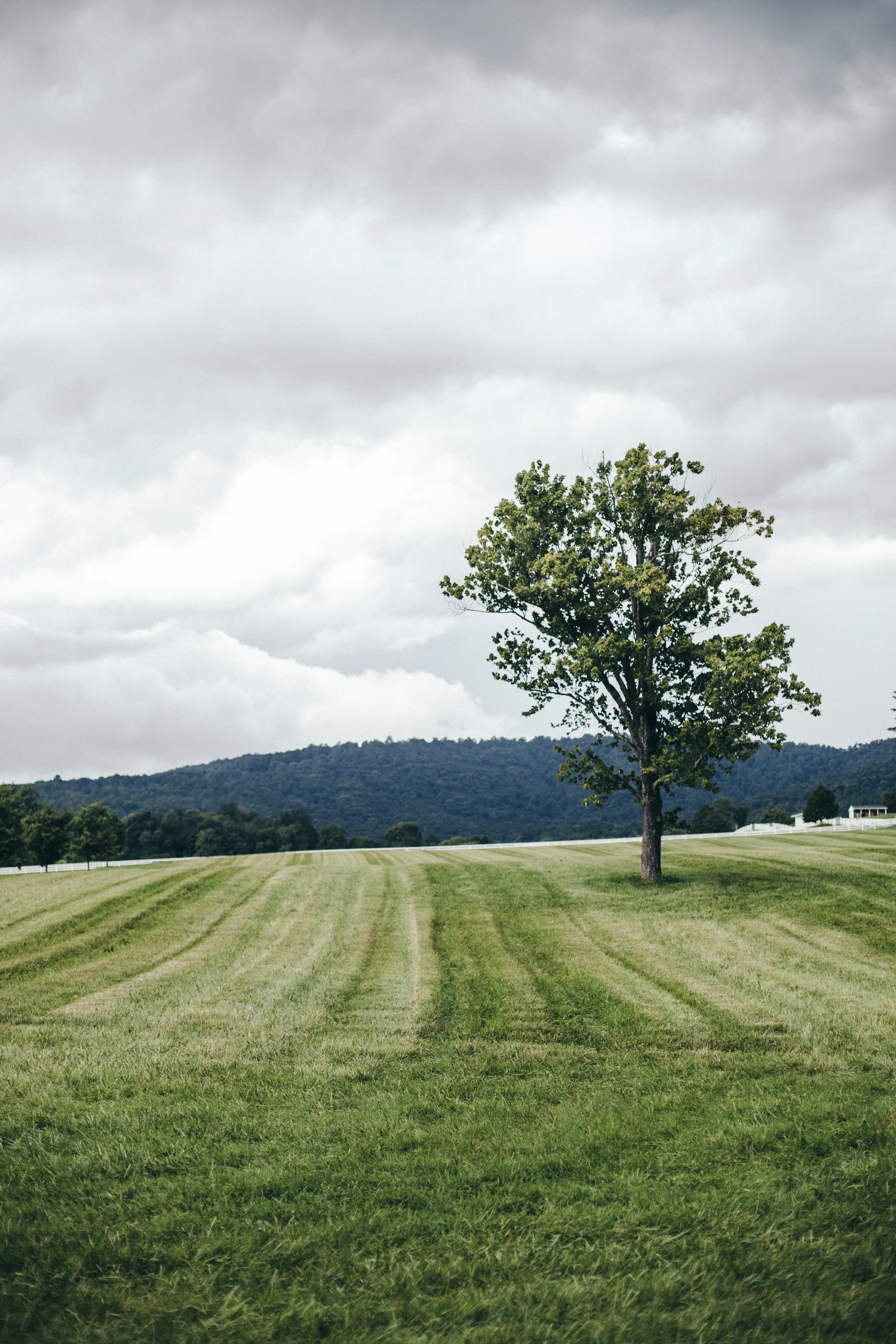 Charlottesville, VA