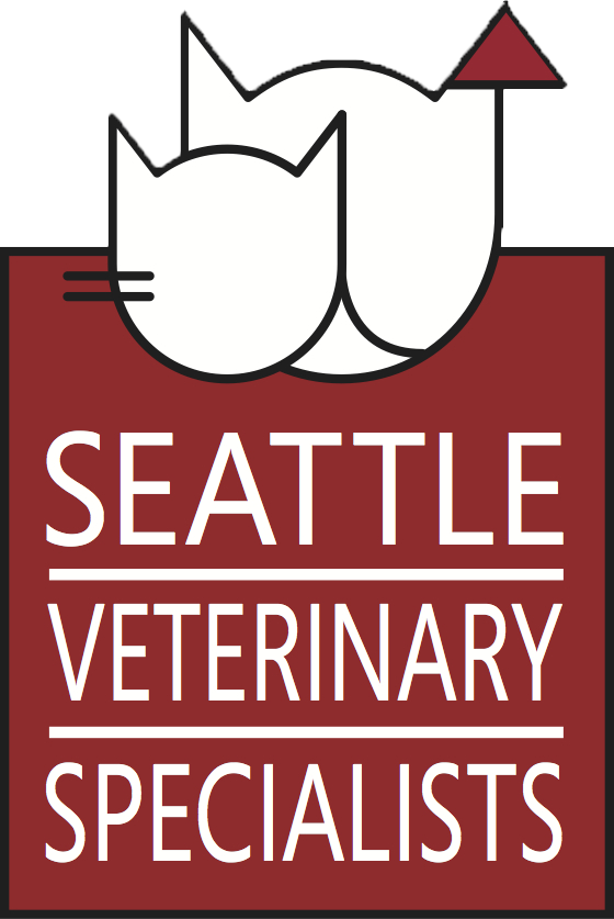 kirkland veterinary specialists