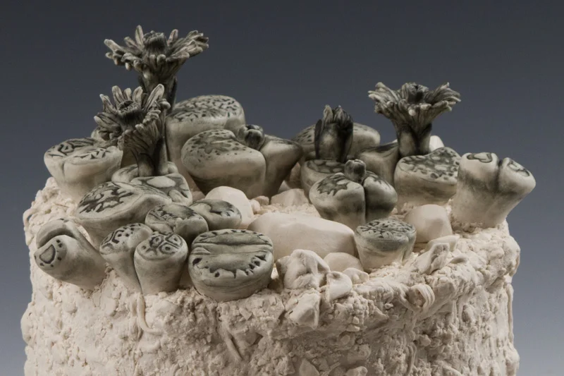 LithopsStoneFaces2.jpg