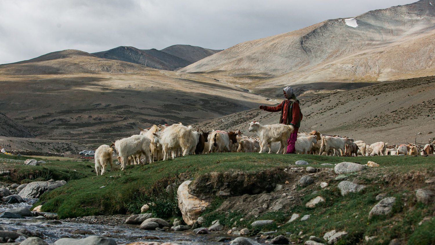 International: Sustainable Practices