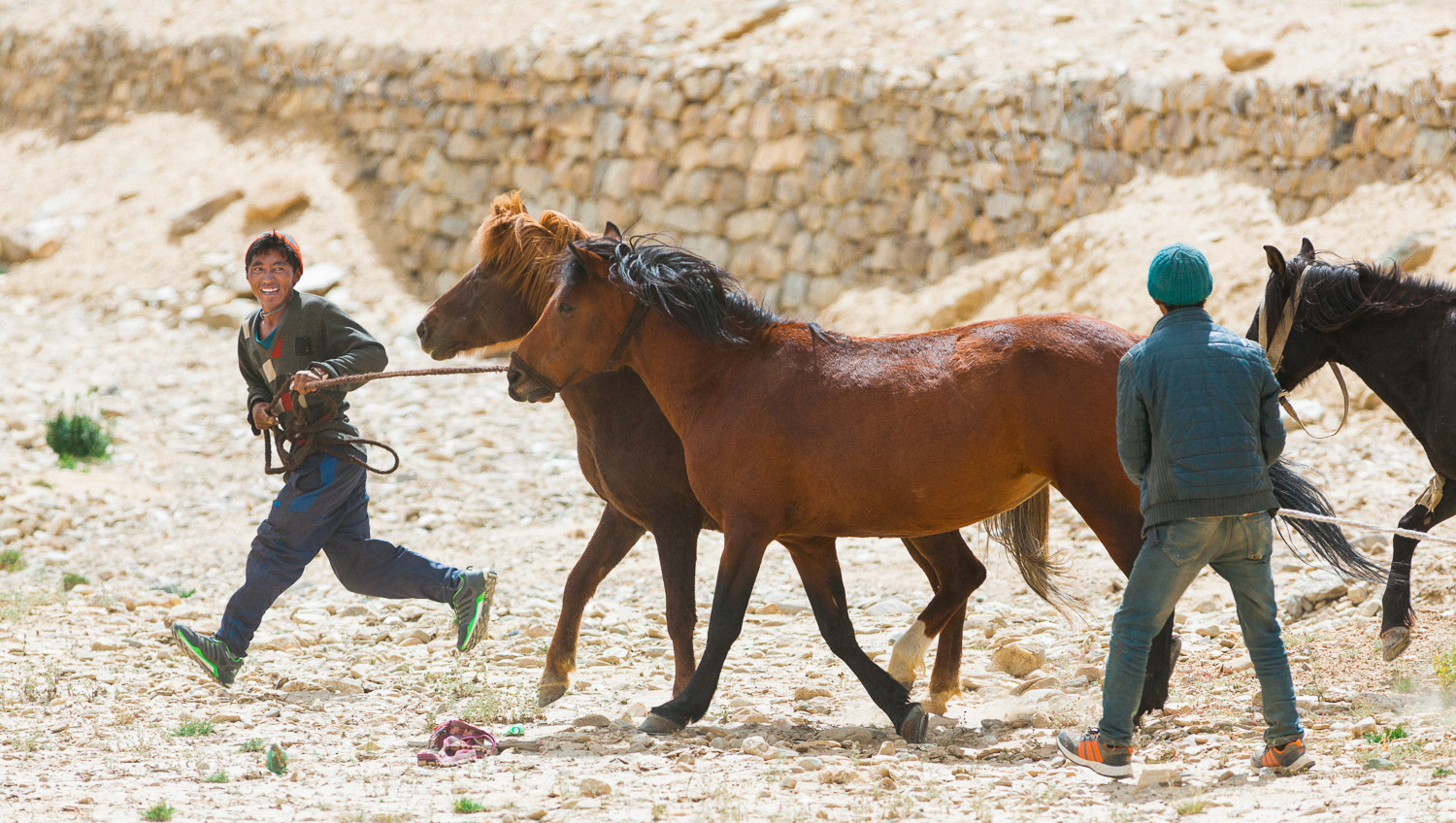 Waters Photographs: Indian Horse Round-Up