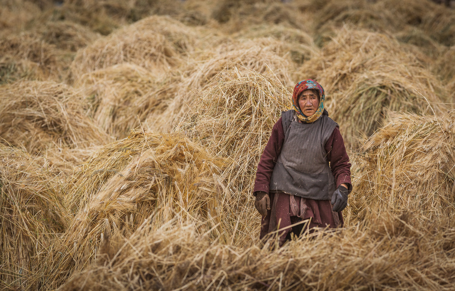 waters photographs: Indian Farm Worker