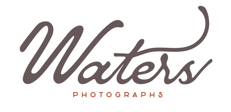 SWP_main logo_final_Logo_full color.png