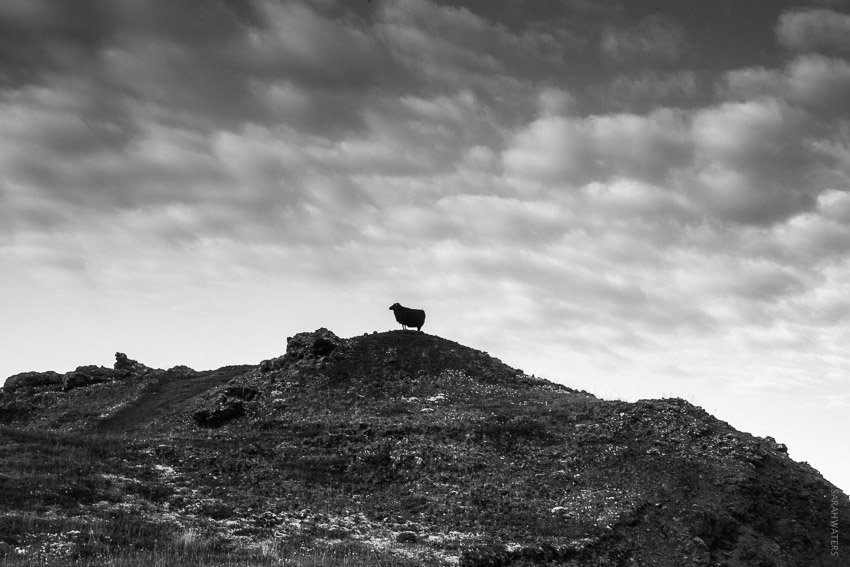 2017_Iceland_Canon-114.jpg