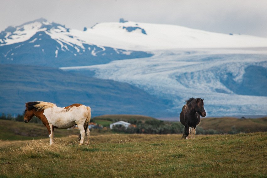 2017_India_Iceland_Canon-123 copy.jpg