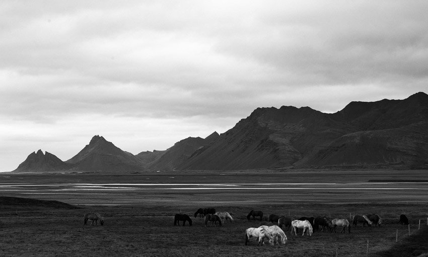 2017_India_Iceland_Canon-154-2.jpg