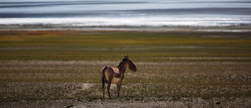 2017_India_Iceland_Canon-293 copy.jpg
