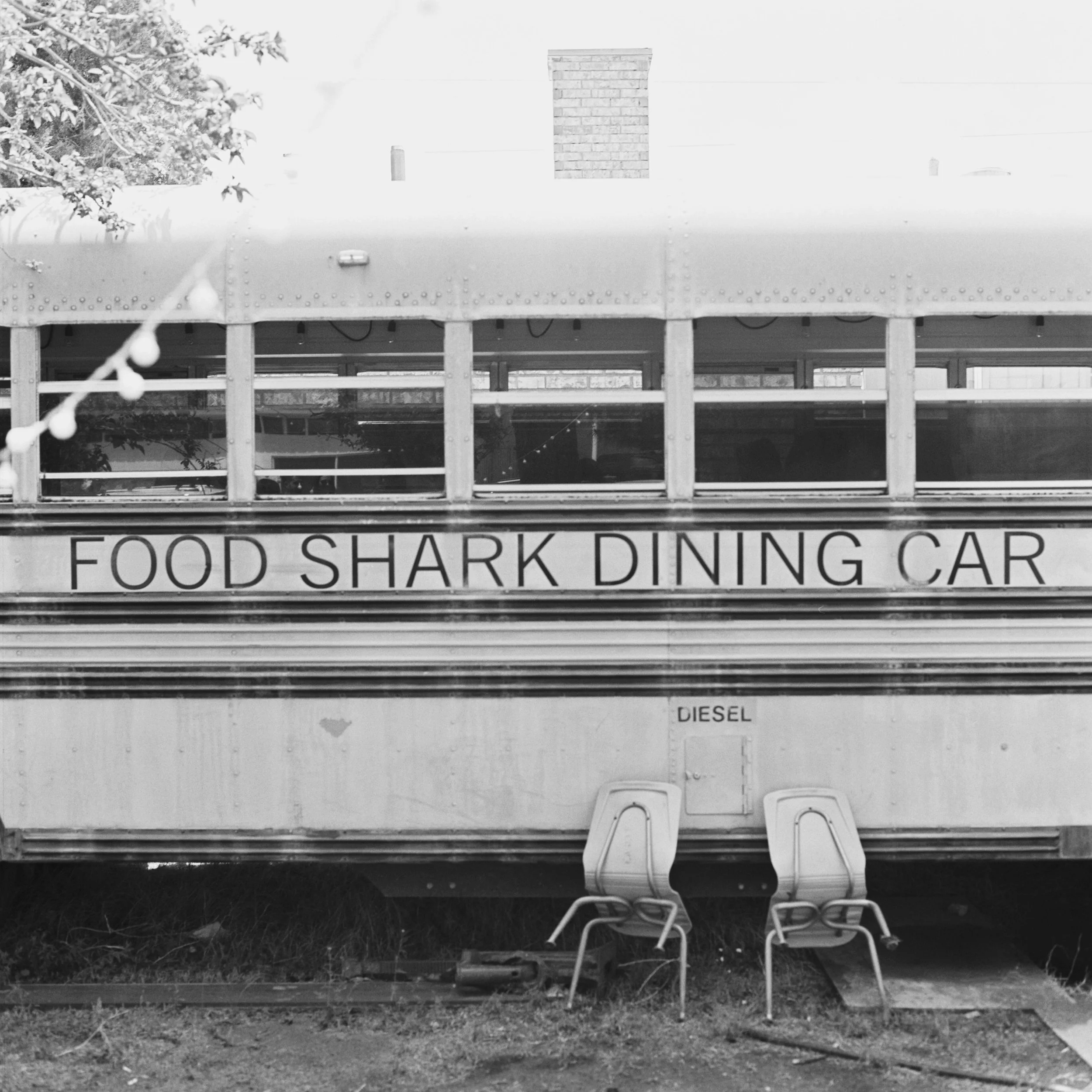 MARFA FOOD SHARK FILM 55052_06.jpg