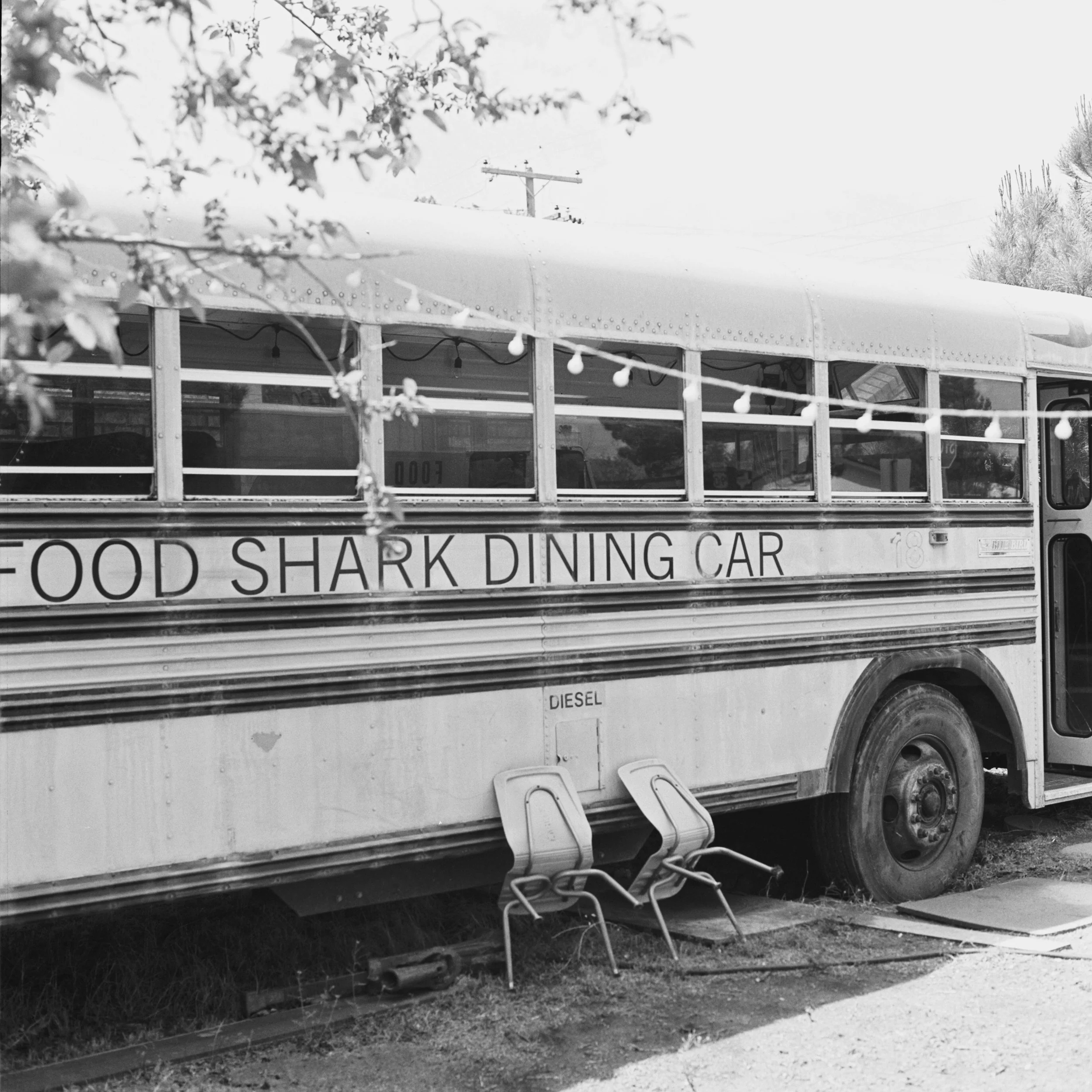 Marfa FOOD SHARK FILM 55052_07.jpg