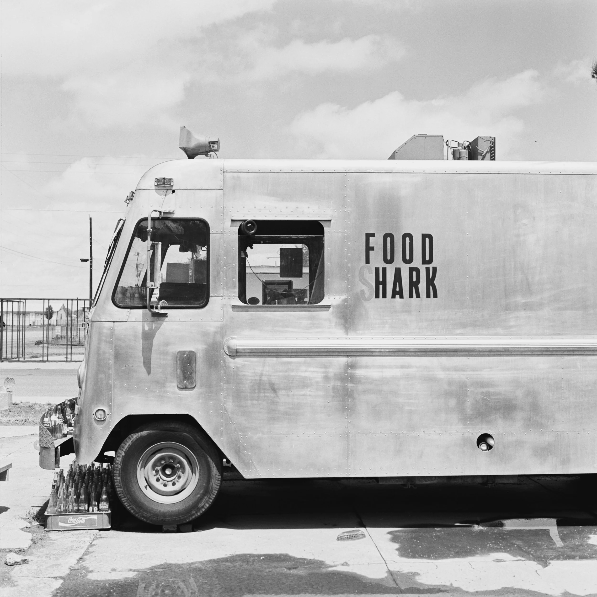 MARFA Food Shark FILM 55052_08.jpg