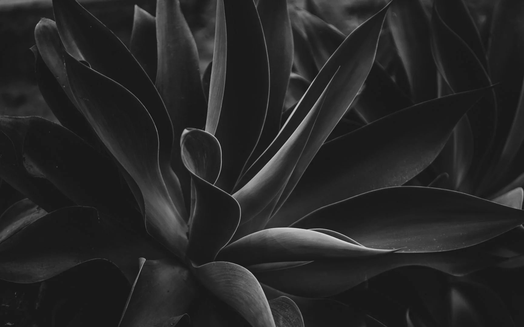 How We Choose to Be: A New Year Reflection on Presence &amp; Creativity