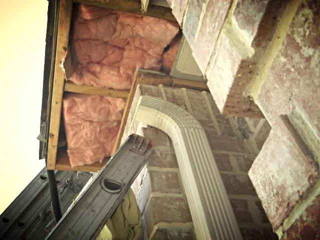 Riley's hive007.jpg