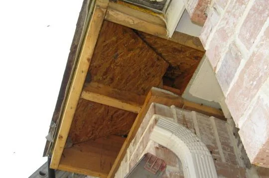 Riley's hive005.jpg