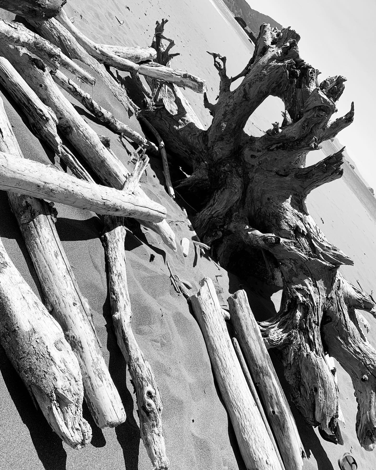 Driftwood
I am but a driftwood
All but forgotten from whence I came
A place where once had a name
A time when all was good

I am but a driftwood
Set myself adrift
Currents they lift
Bearing their latent gifts
I move as they shift
I'd protest if only 