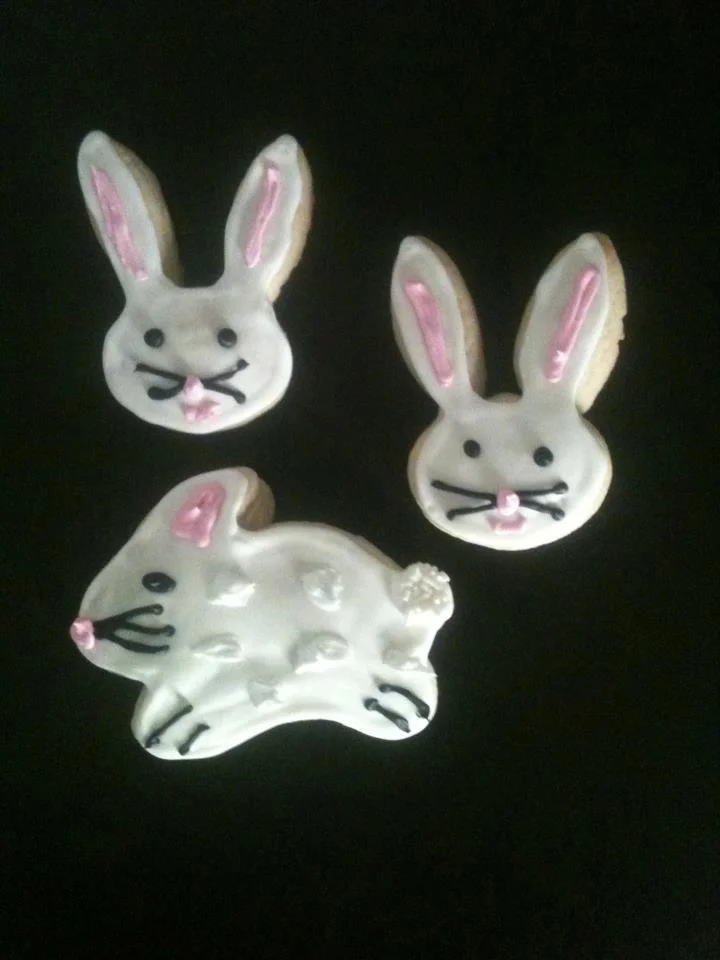 bunnies.jpg
