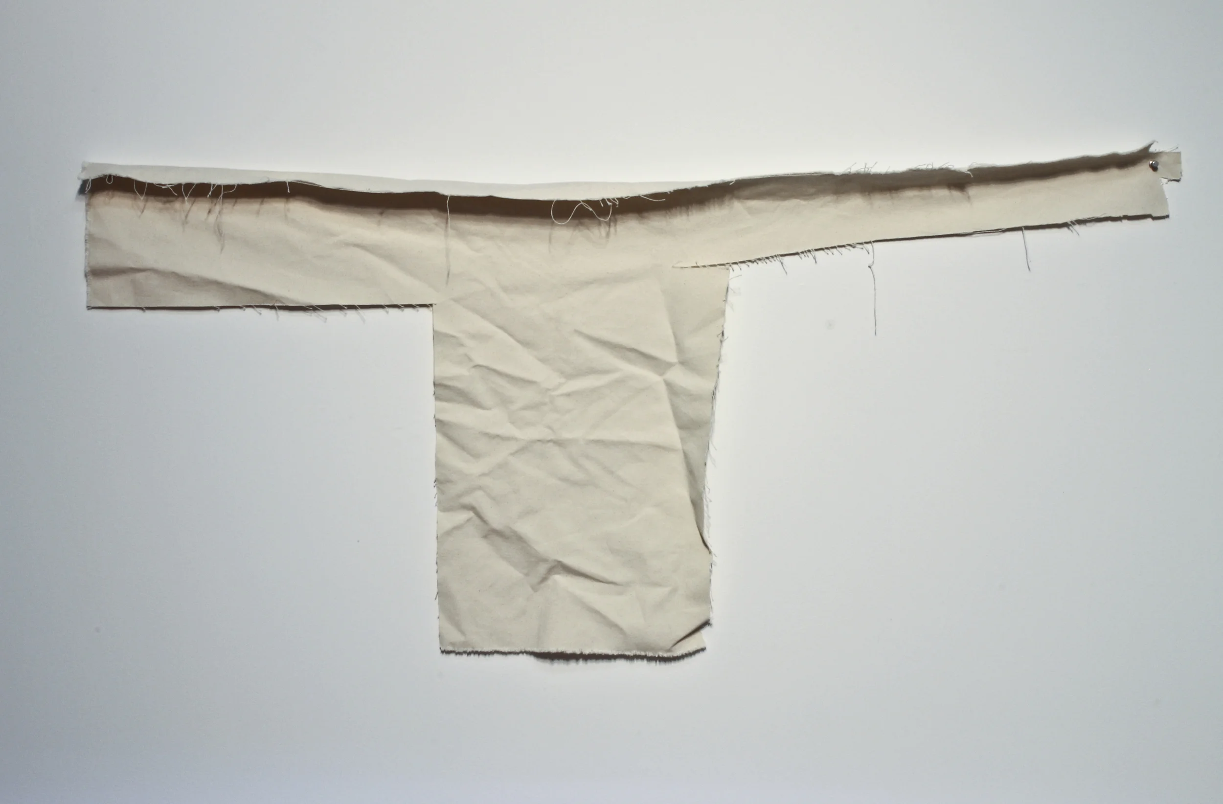   Ecce Homo , 2015  Cut canvas and push pins  23.5x50"    