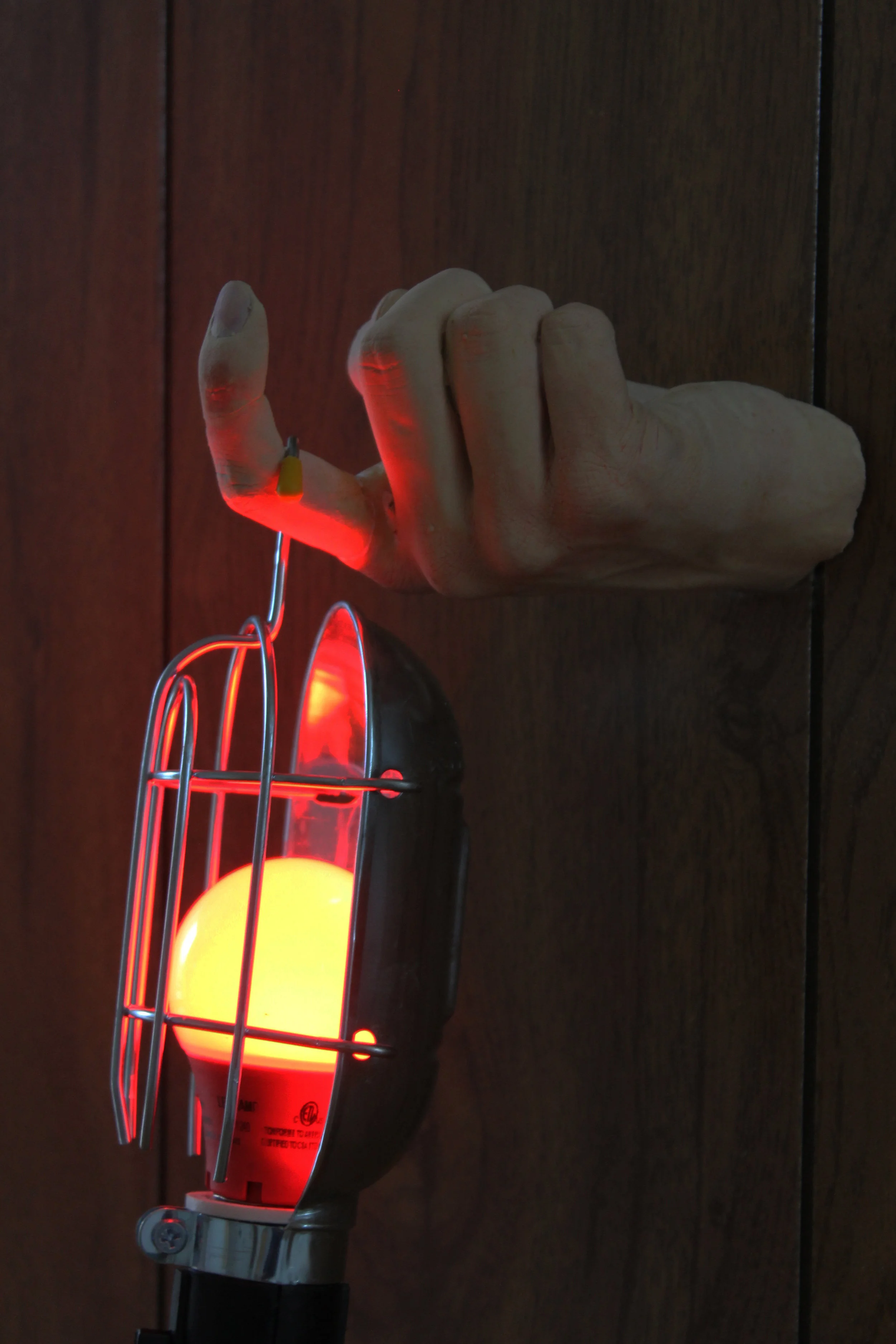 finger1.jpg
