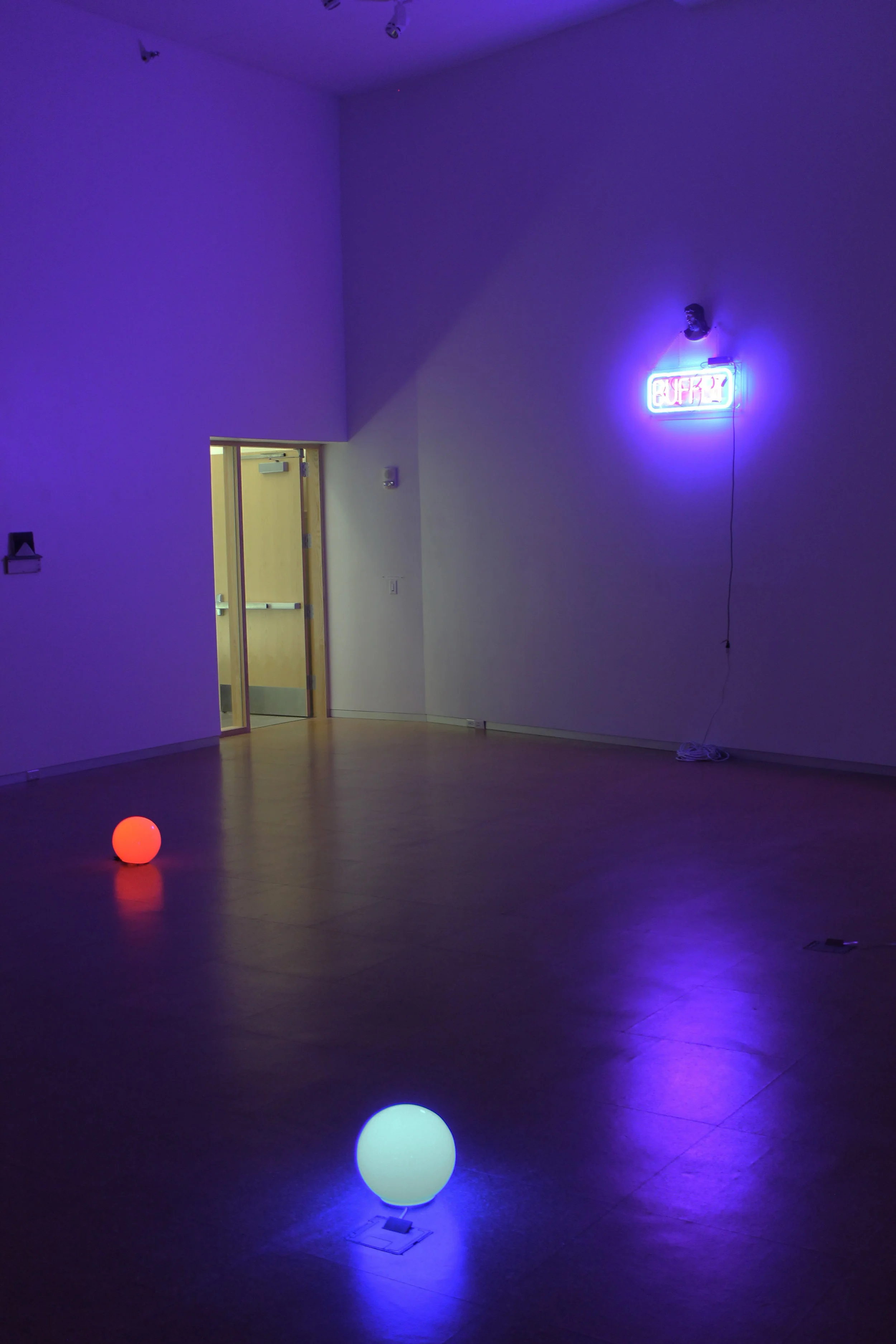 MFA gallery1.jpg