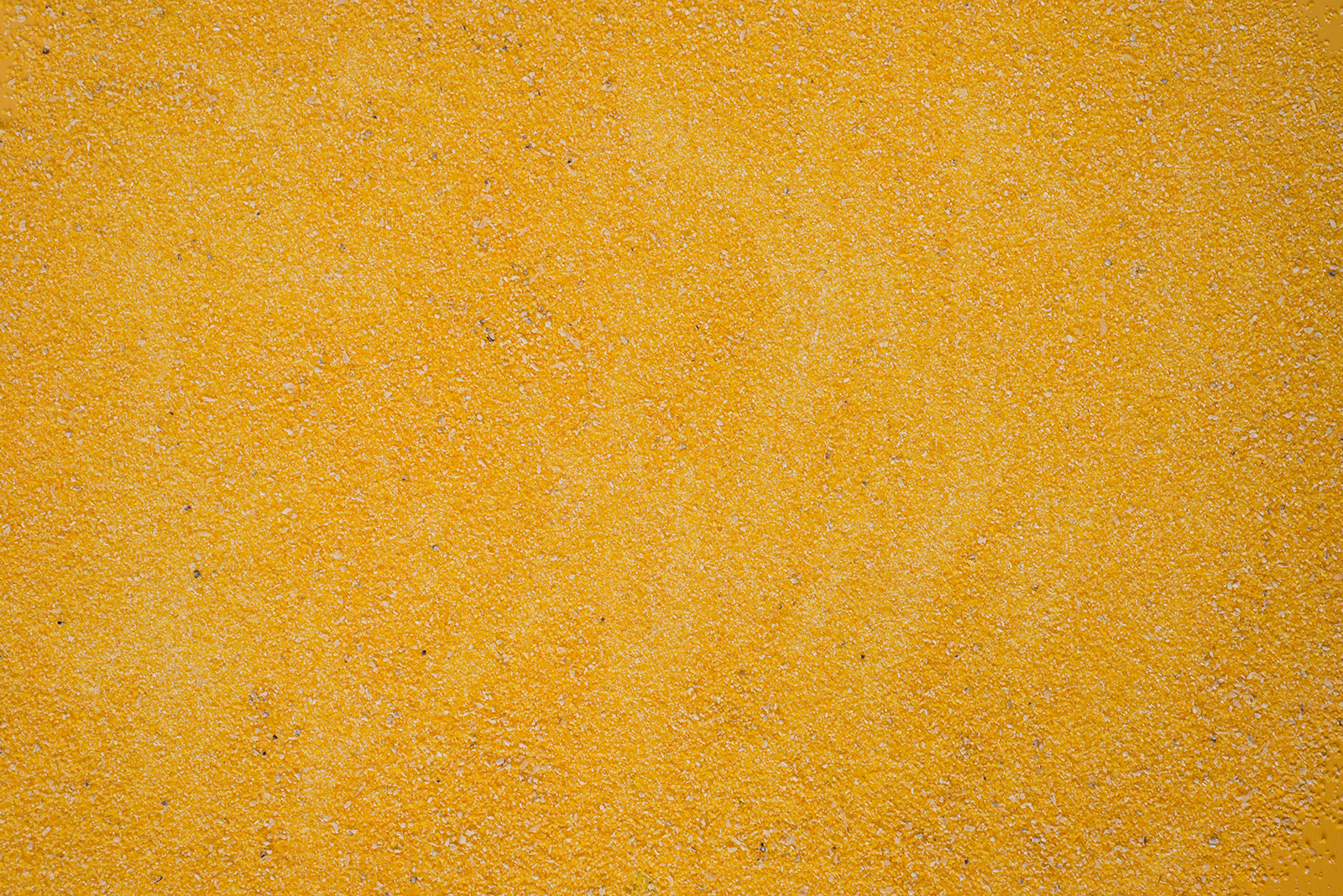 nn-cornmeal-2016.png