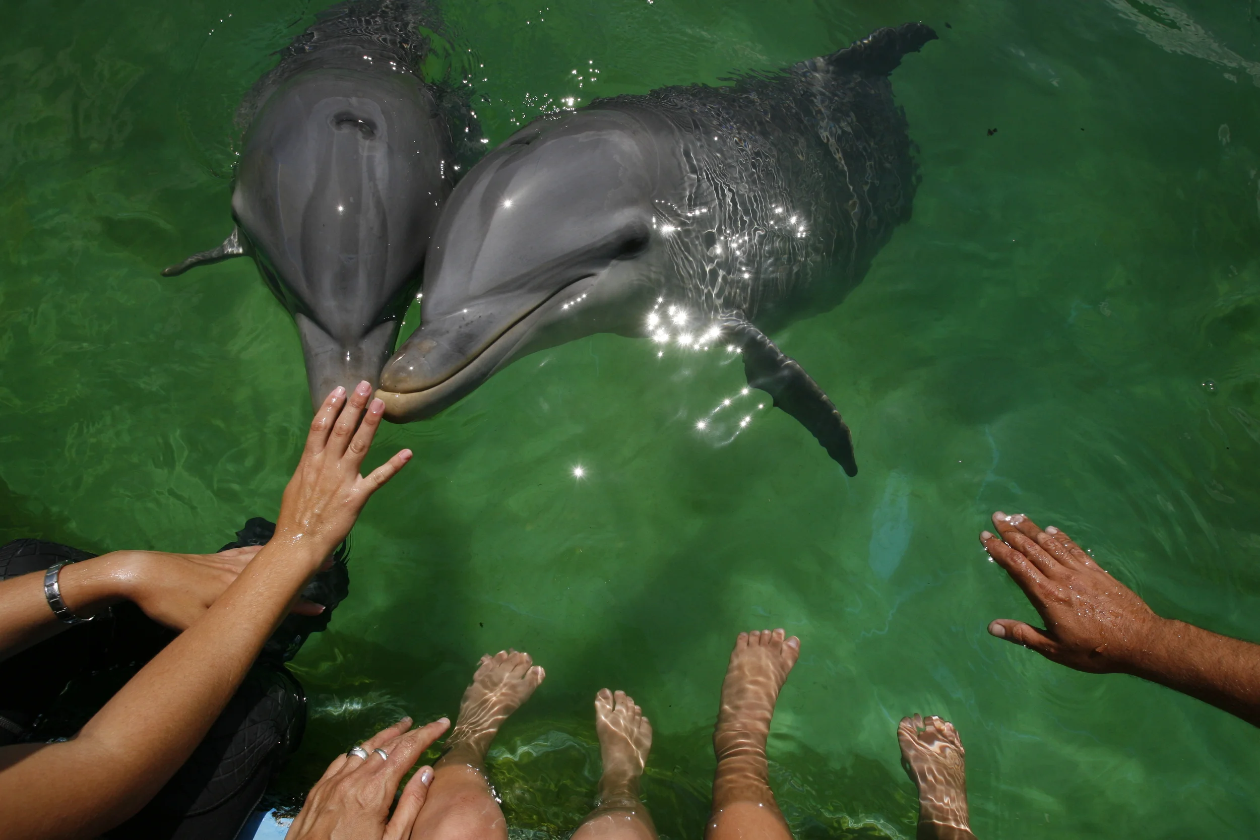  National Aquarium and&nbsp;Disabled Children.Havana. 