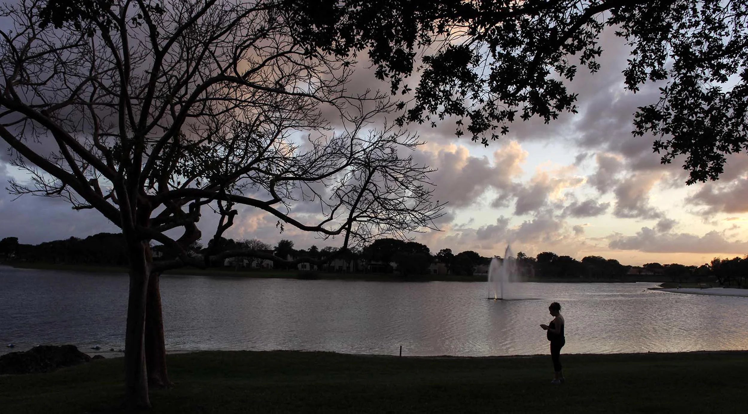 Kendall. Florida 2015