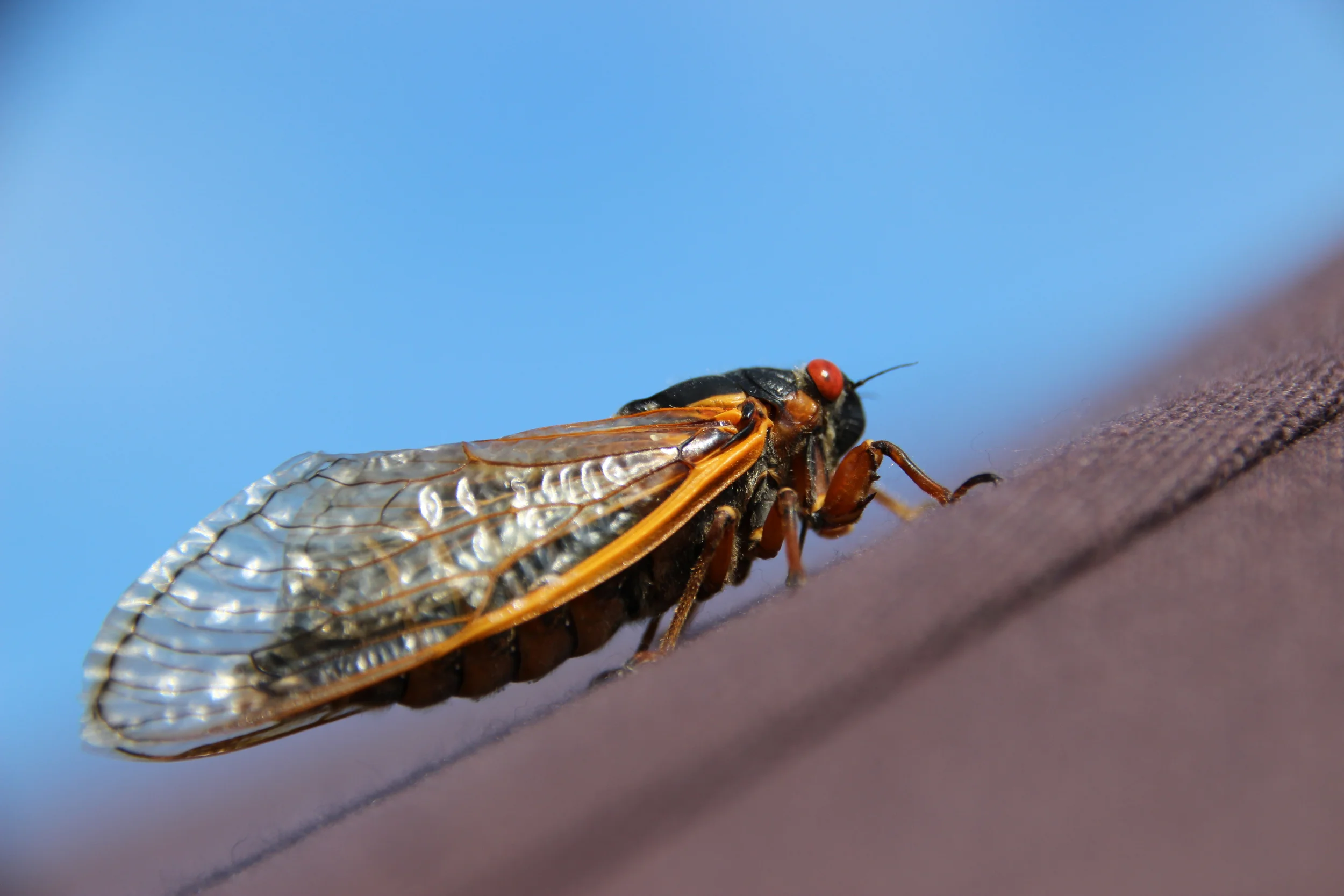 This is just a test. &nbsp;I am really just seeing how this all looks. &nbsp;Ignore this writing and good things will come.