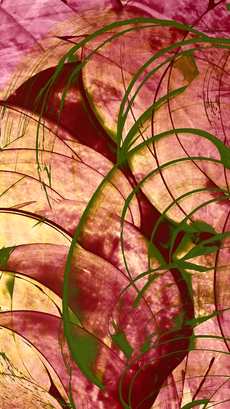 IMG_1269.PNG
