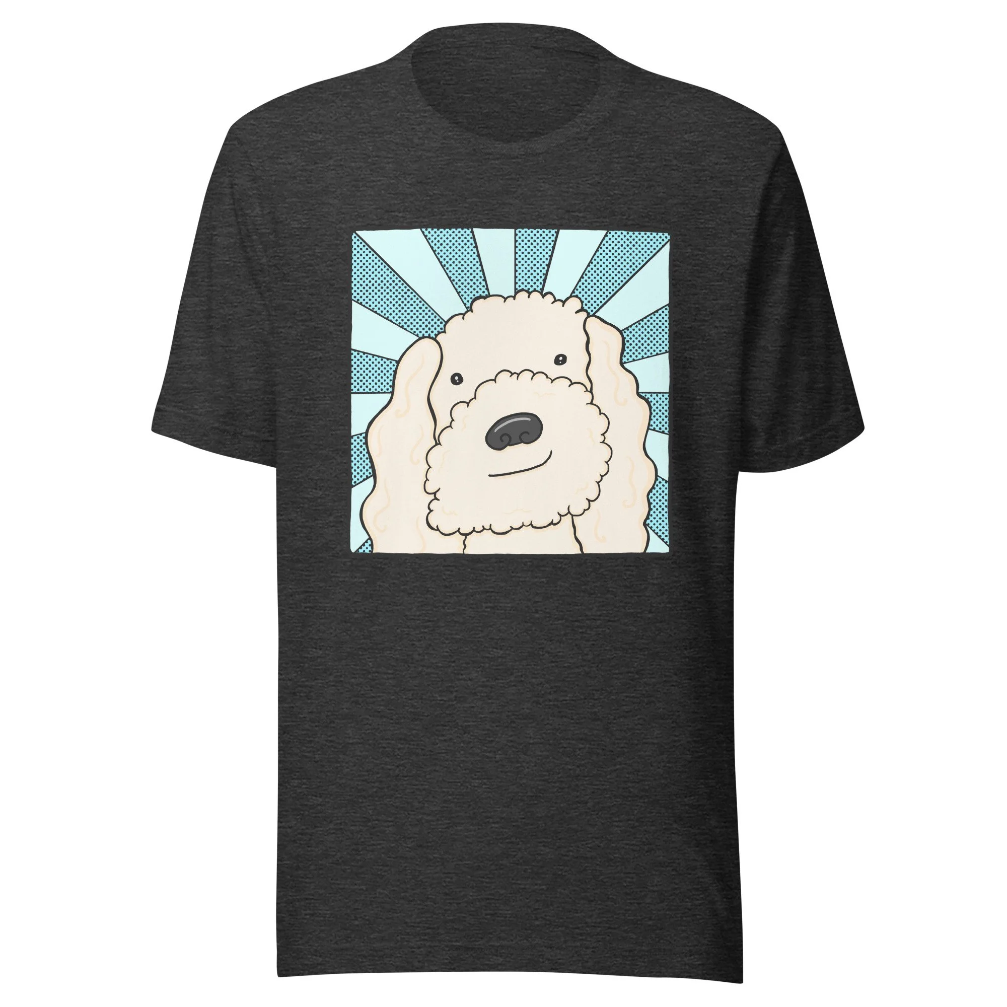 unisex-staple-t-shirt-dark-grey-heather-front-6935eeb82552f.jpg