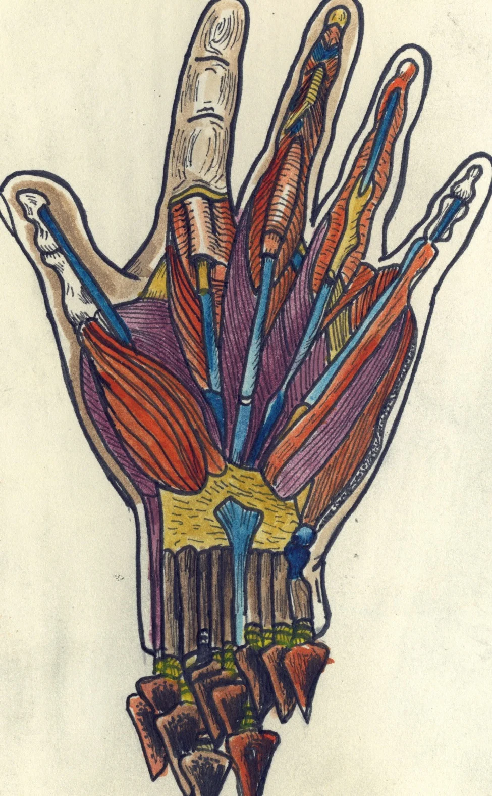 hand.jpeg