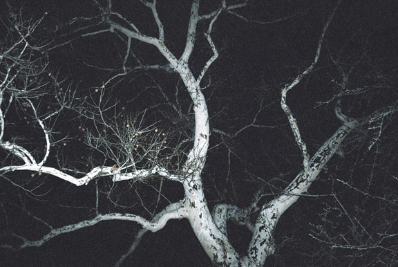 Image10.jpg