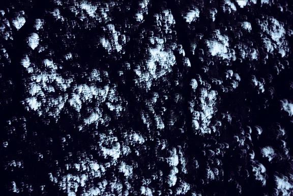 Image18.jpg