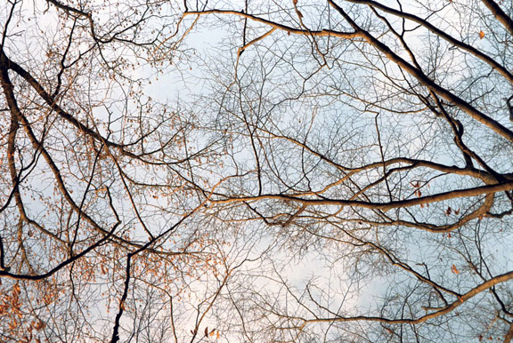 Image49.jpg